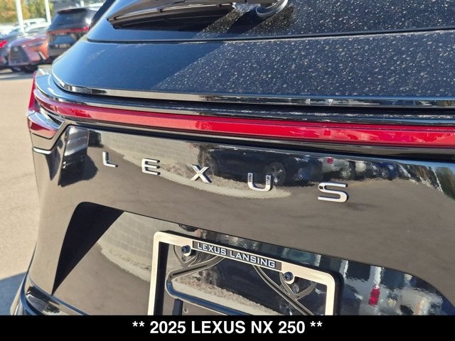 2025 Lexus NX 250 NX 250