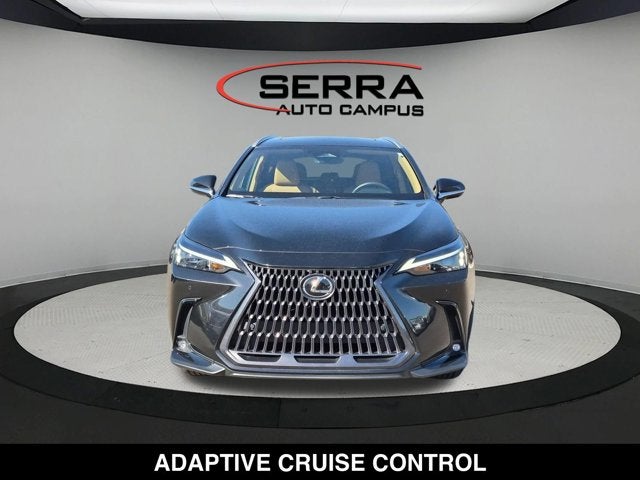 2025 Lexus NX 250 NX 250