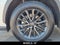 2024 Lexus NX 350 NX 350