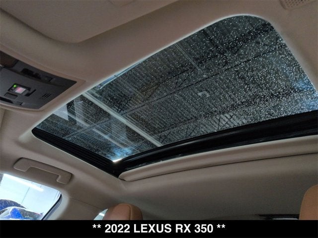 2022 Lexus RX 350 RX 350
