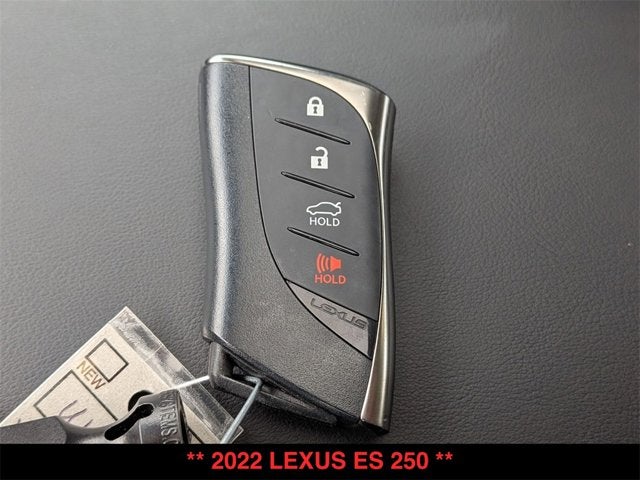 2022 Lexus ES 250 ES 250