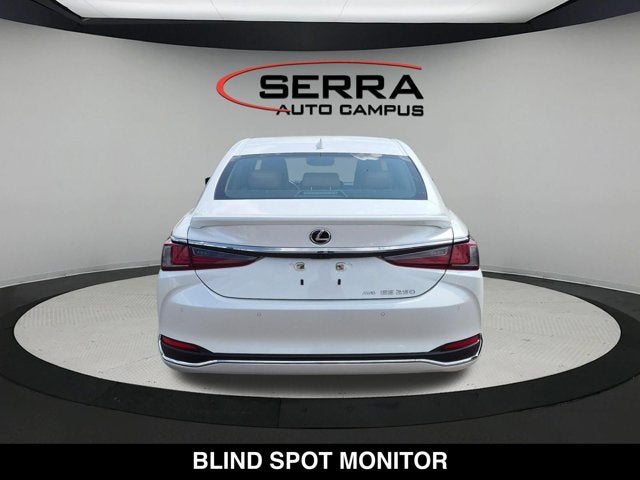 2022 Lexus ES 250 ES 250
