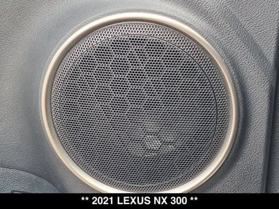 2021 Lexus NX 300 NX 300