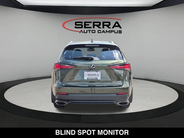 2021 Lexus NX 300 NX 300