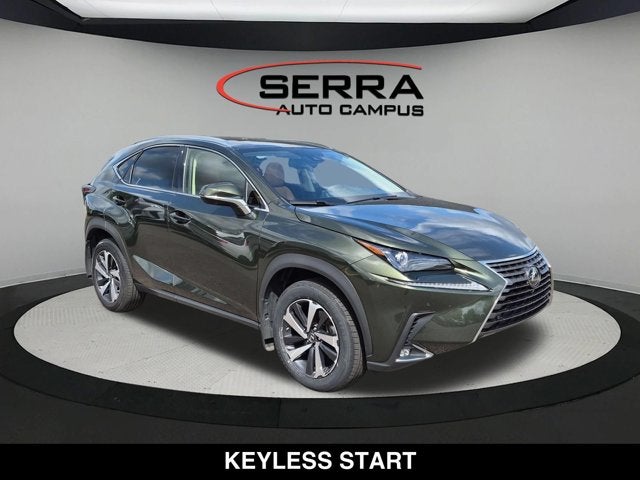 2021 Lexus NX 300 NX 300