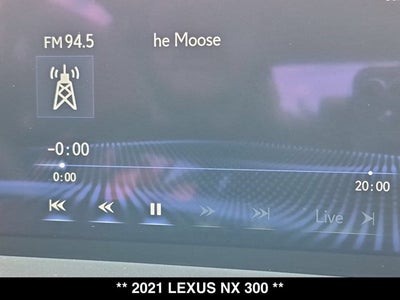 2021 Lexus NX 300 NX 300
