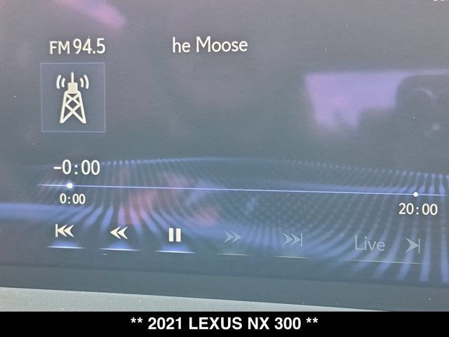 2021 Lexus NX 300 NX 300
