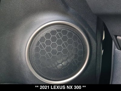 2021 Lexus NX 300 NX 300