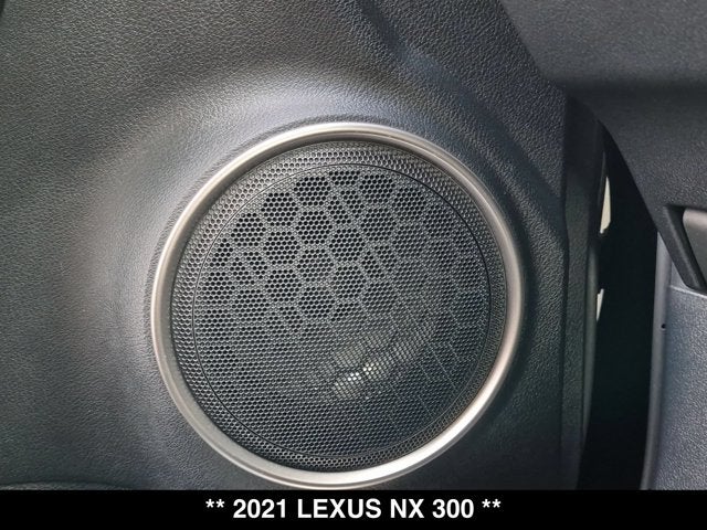 2021 Lexus NX 300 NX 300