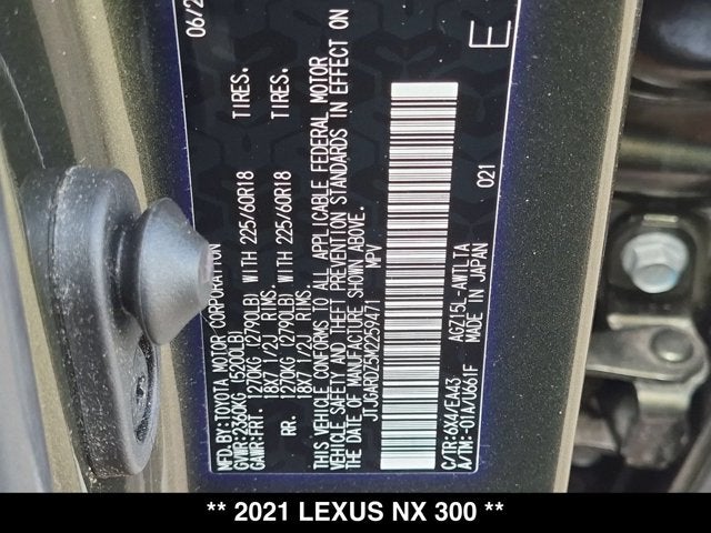 2021 Lexus NX 300 NX 300