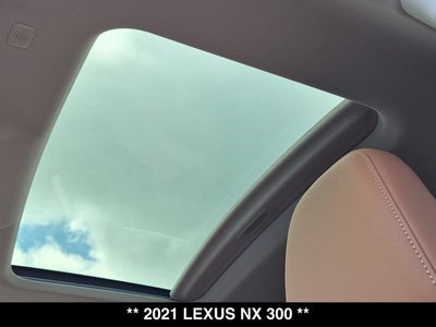 2021 Lexus NX 300 NX 300