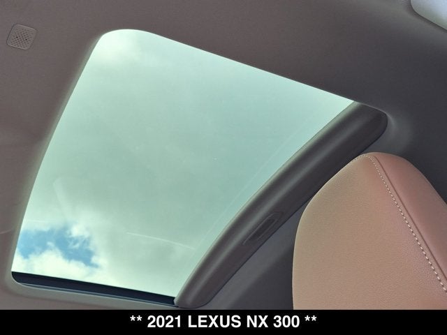 2021 Lexus NX 300 NX 300
