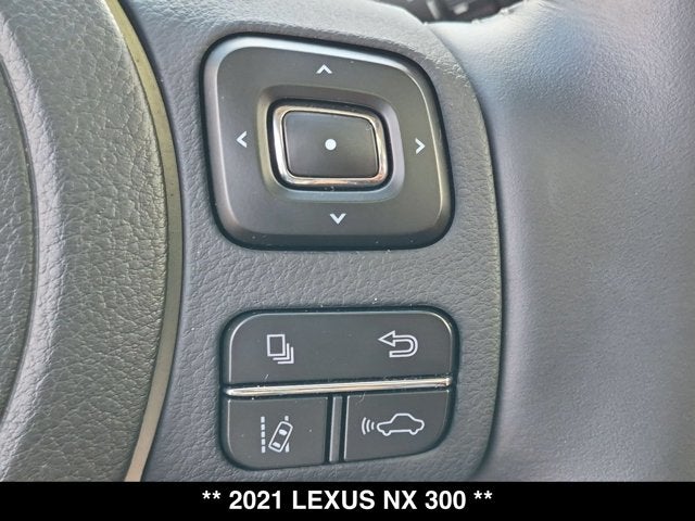 2021 Lexus NX 300 NX 300