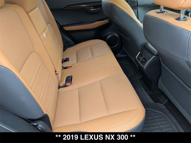 2019 Lexus NX 300 NX 300