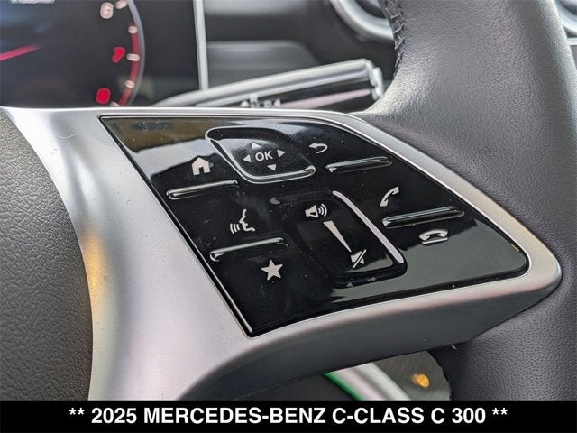 2025 Mercedes-Benz C 300 C 300