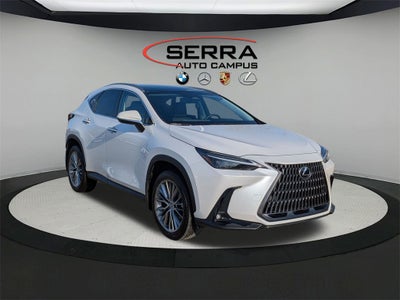 2024 Lexus NX 350 Luxury