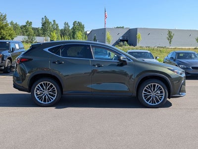 2025 Lexus NX 350h Premium
